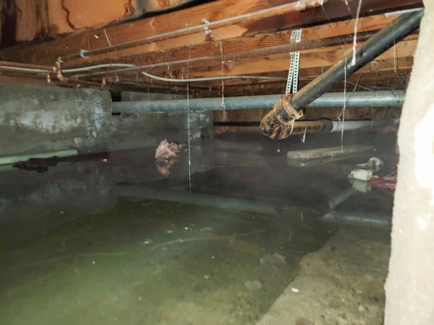 Knightdale, NC Water damage restoration Company